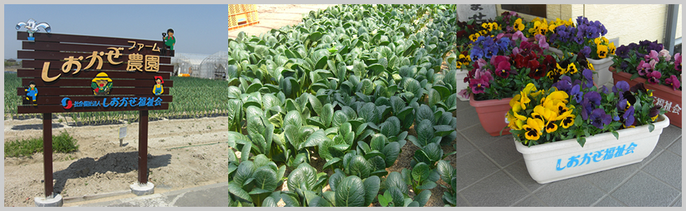 障害福祉サービス事業所しおかぜ