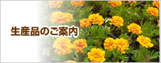 生産品のご案内